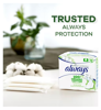Picture of Always Organic Cotton Protection Ultra Normal Size 1 Sanitary Towels Wings 12 Pads